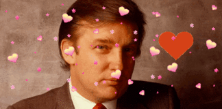 love of trump