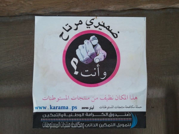 on the ASA Boycott of Israeli Academic Institutions
