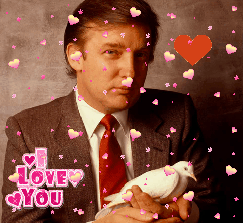 love of trump