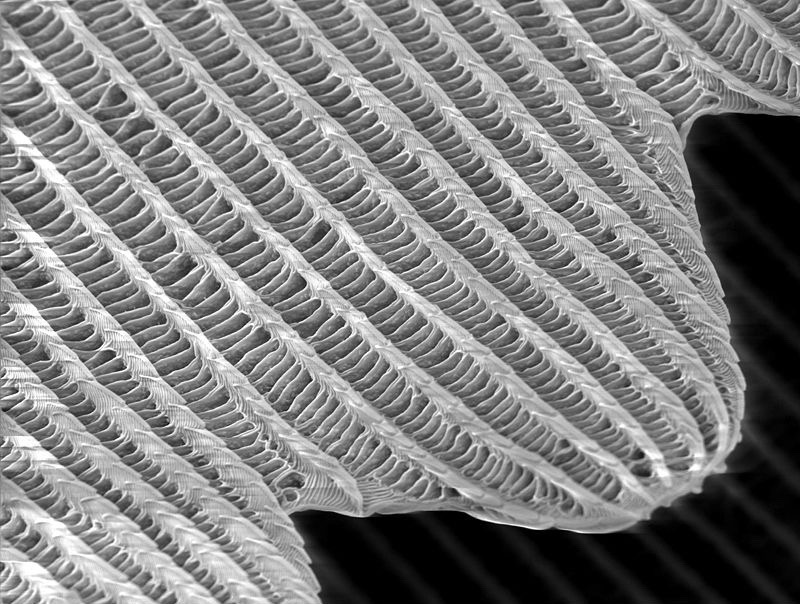 Tom Eyers – The Matter of Poetry: A Review of Nathan Brown’s “The Limits of Fabrication: Materials Science, Materialist Poetics”
