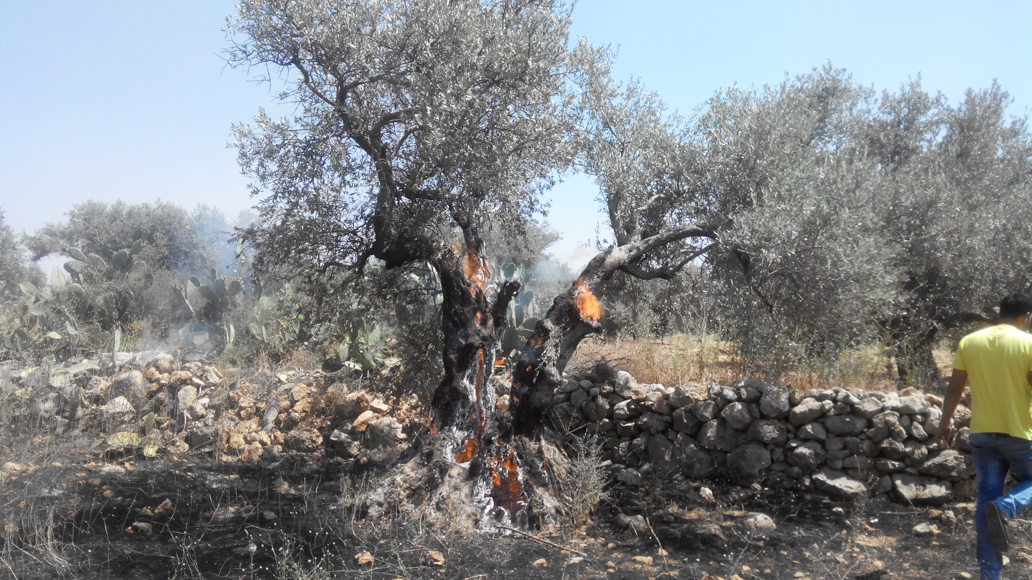 Dotan Leshem and Shir Hever — Political Annexation Disguised as Economic Cooperation