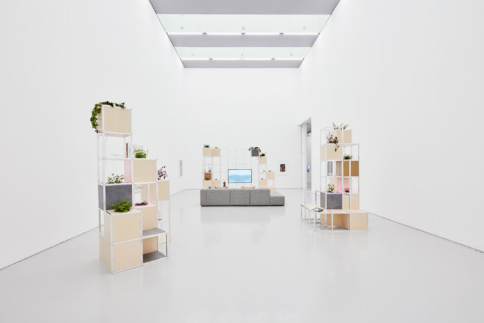 CKT-NewEelam_SpikeIsland_Ph=MaxMcClure_01