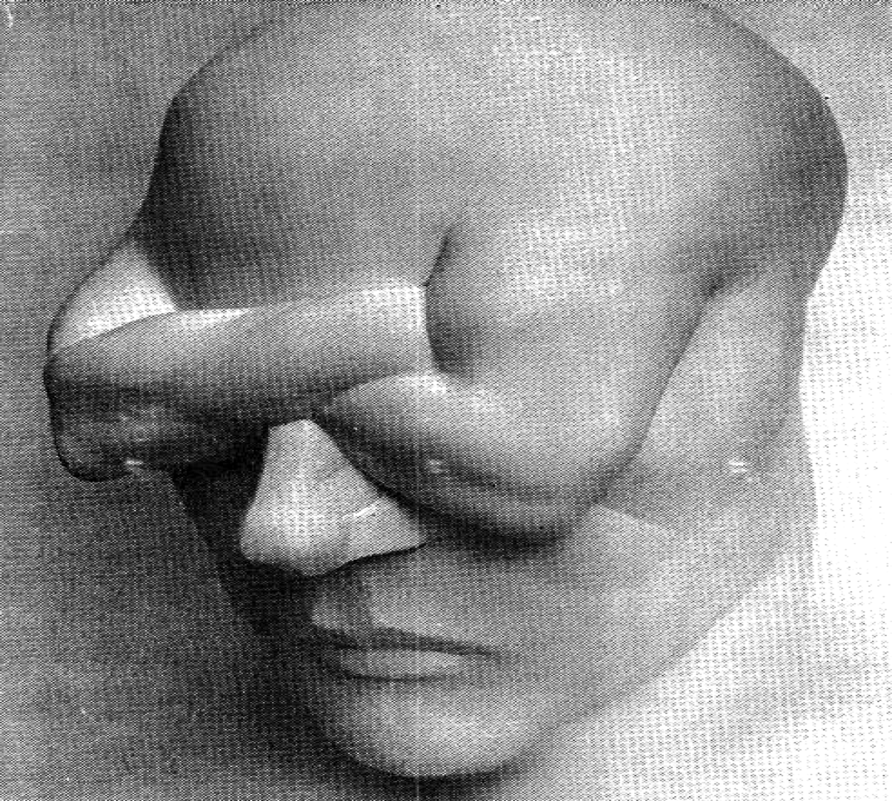Elissa Marder — Beyond the Reality Principle Like You Wouldn’t Believe: Reflections on the US Election